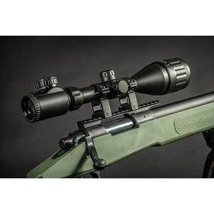 Evolution M40 - Oliva