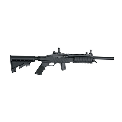 Ruger 10/22