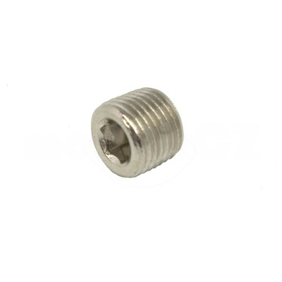 EPeS šroub 1/8 NPT HPA (imbus) - vnější závit