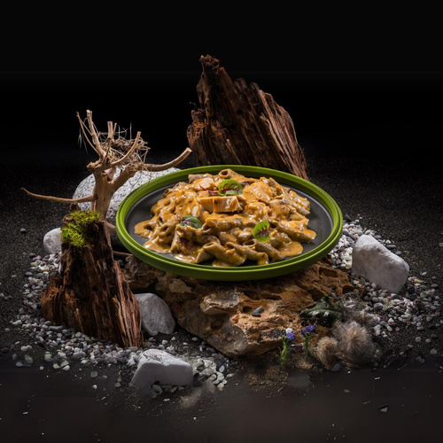DynamicsHPA - Airsoftový krám, Airsoft zbraně, střelivo, vybavení - Lightweight SENS Cvrččí proteinové penne s kuřecím masem v kreolské omáčce 400g